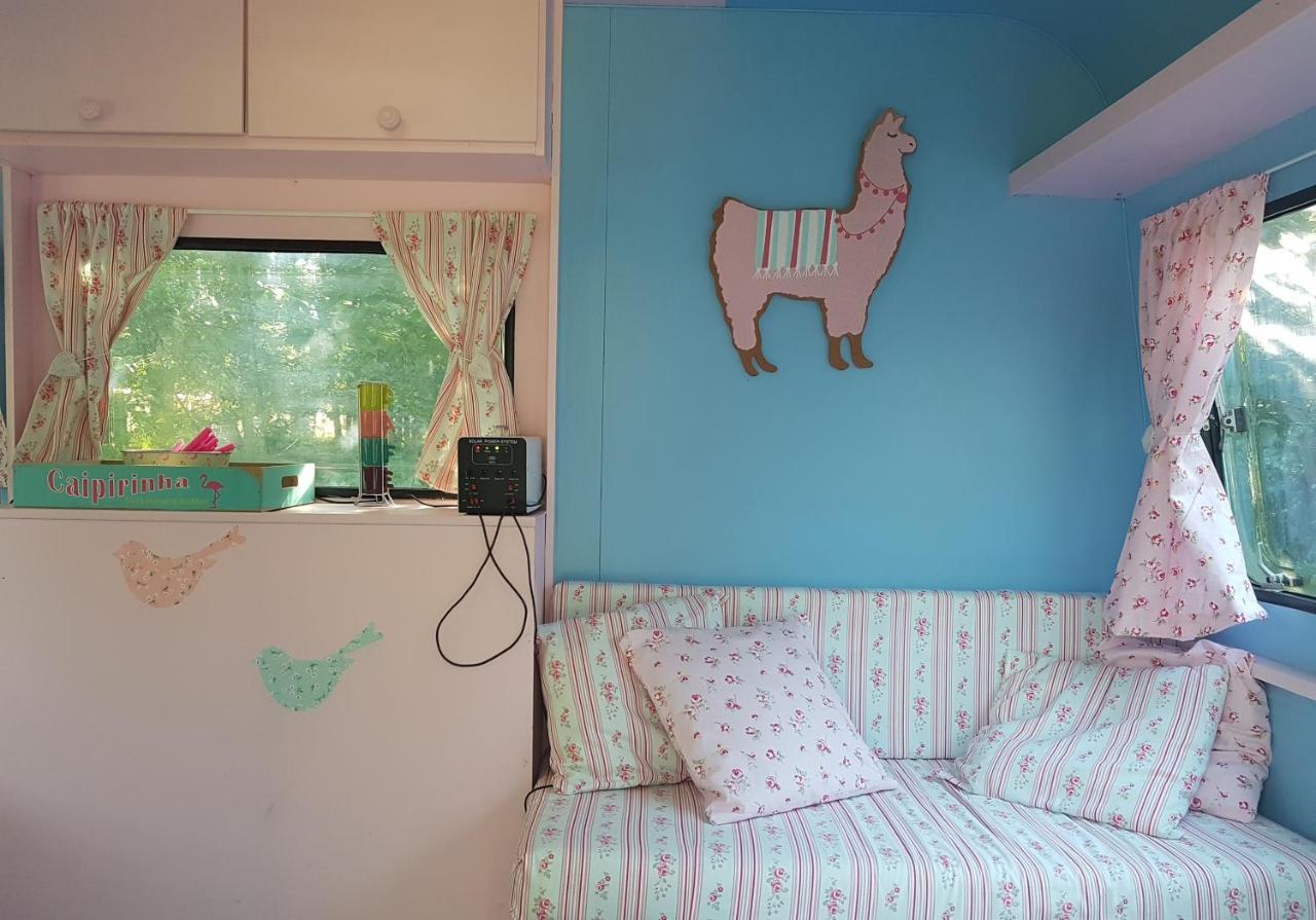Camping Bois De St Hilaire Chalandray Zewnętrze zdjęcie